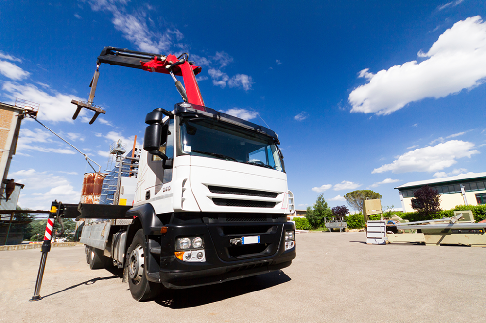 Camion Grue para